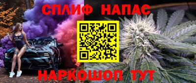стаф Будённовск