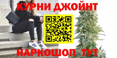 стаф Будённовск