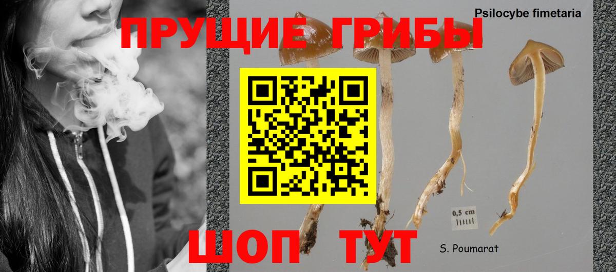 Галлюциногенные грибы GOLDEN TEACHER Спасск-Дальний