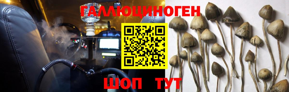 Спасск-Дальний  Галлюциногенные грибы мухоморы  Вход с VPN  Псилоцибиновые грибы Magic Shrooms 